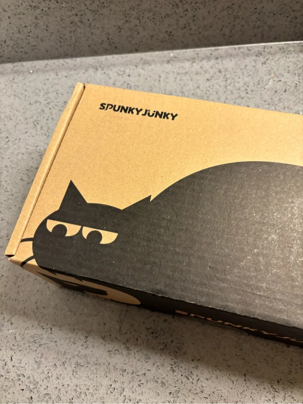 SpunkyJunky Double Pet Bowls - Light Gray